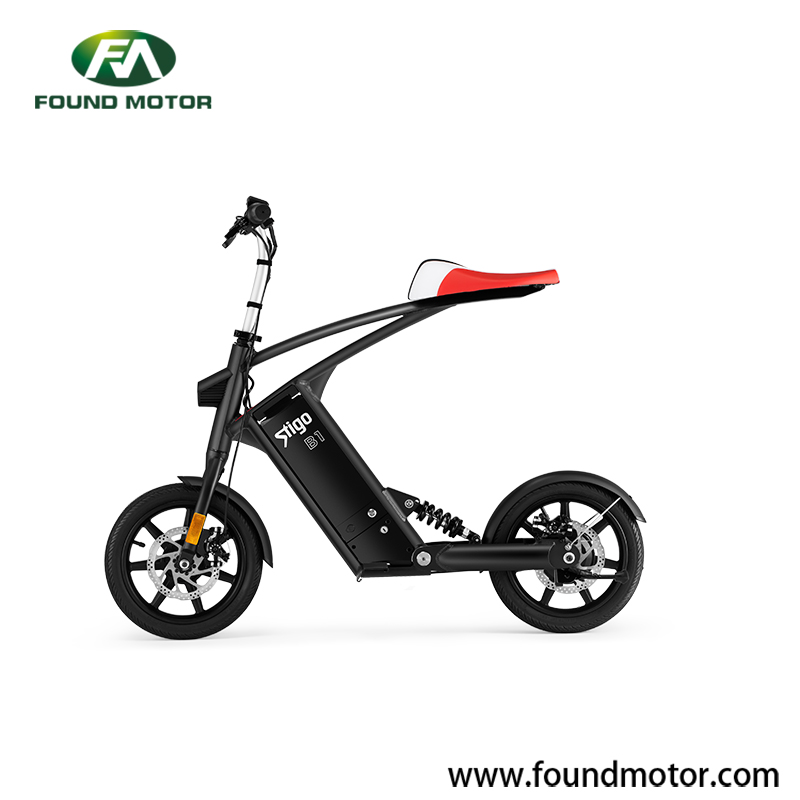 Stigo folding electric scooter  