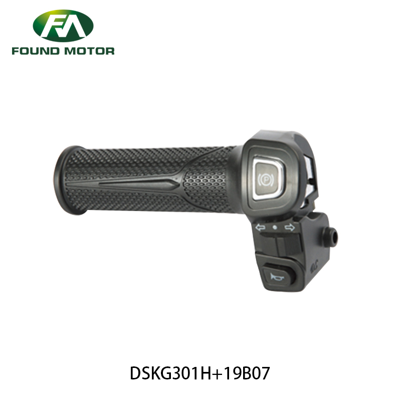 Throttle DSKG301H-19B07
